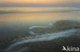 Noordzeestrand