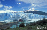 Perito Moreno National Park