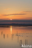 Polder Arkemheem