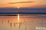 Polder Arkemheem