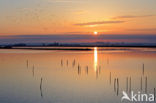 Polder Arkemheem