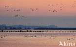 Polder Arkemheem