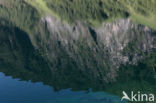 Pyrenees