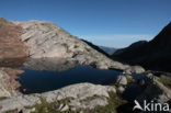 Pyrenees