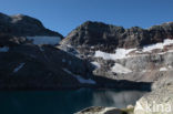 Pyrenees