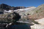 Pyrenees