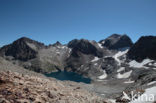 Pyrenees