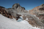 Pyrenees