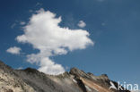 Pyrenees
