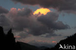 Pyrenees