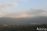 Pyrenees