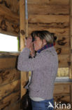 Vogeleiland Zwarte Meer