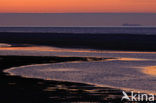 Waddenzee