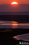 Waddenzee