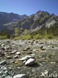 Cirque de Gavarnie