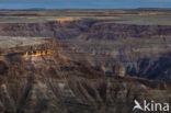 Fish River Canyon