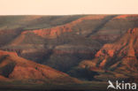 Fish River Canyon