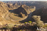 Fish River Canyon