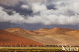 Namib naukluft national park