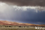 Namib naukluft national park