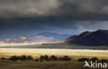 Namib naukluft national park