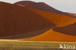 Namib naukluft national park