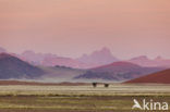 Namib naukluft national park