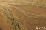 Namib naukluft national park