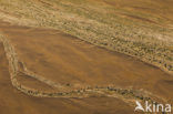 Namib naukluft national park