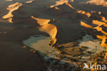 Namib naukluft national park