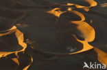 Namib naukluft national park