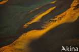 Namib naukluft national park