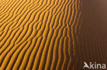 Namib naukluft national park