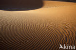 Namib naukluft national park