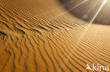 Namib naukluft national park