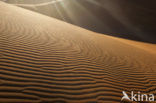 Namib naukluft national park