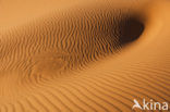 Namib naukluft national park