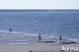 Nationaal Park Oosterschelde