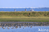 Nationaal Park Oosterschelde