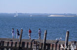 National Park Oosterschelde