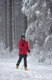 Natuurpark Hoge Venen Eifel