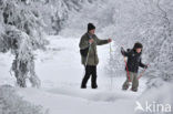 Natuurpark Hoge Venen Eifel