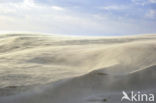 Nieuwpoort