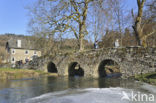 Pont Saint-Lambert