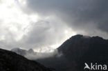 Pyrenees