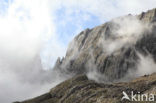Pyrenees