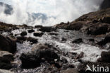 Pyrenees