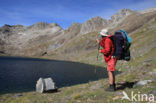 Pyrenees