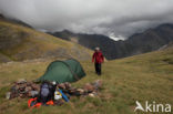 Pyrenees