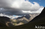 Pyrenees